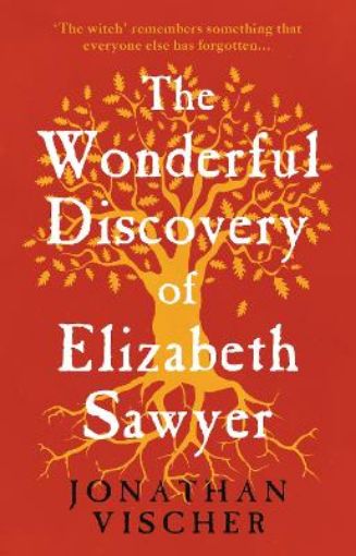 Picture of Wonderful Discovery of Elizabeth Sawyer