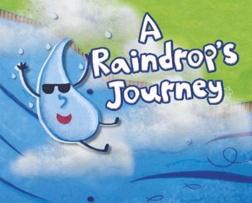 Picture of A Raindrop's Journey